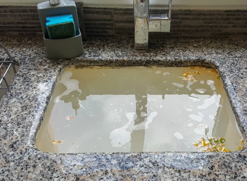 Drain Cleaning in Tampa, FL 